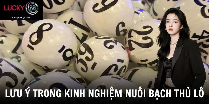 Lưu ý trong kinh nghiệm nuôi bạch thủ lô