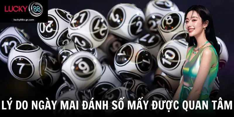 Lý do ngày mai đánh số mấy được quan tâm