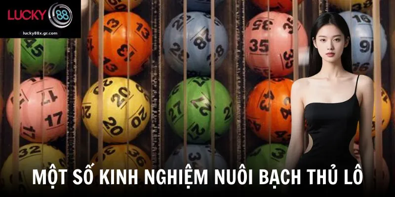Một số kinh nghiệm nuôi bạch thủ lô