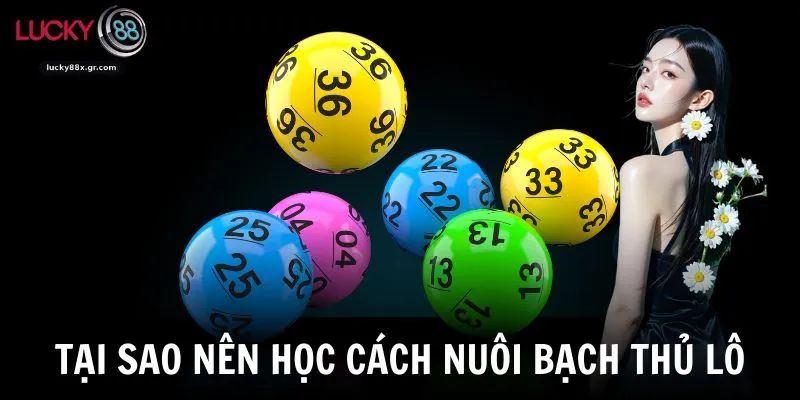 Tại sao nên học cách nuôi bạch thủ lô