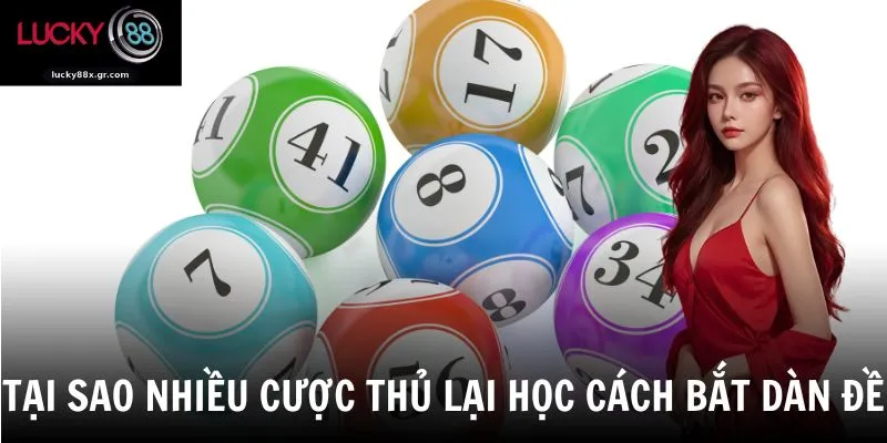 Tại sao nhiều cược thủ lại học cách bắt dàn đề