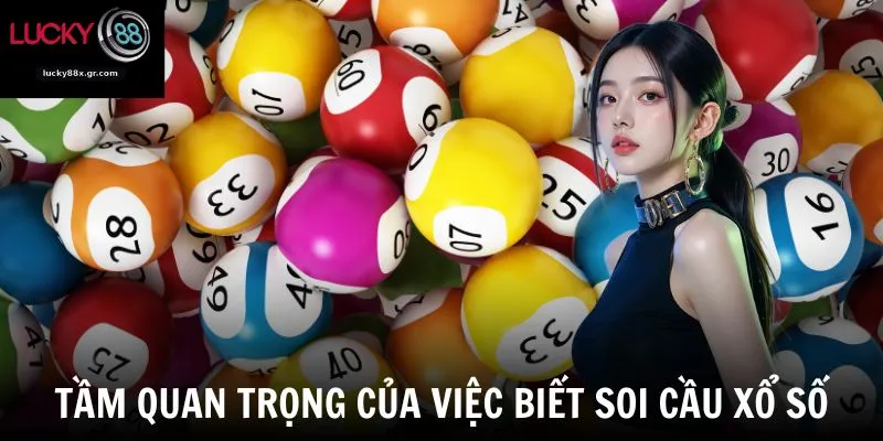 Tầm quan trọng của việc biết soi cầu xổ số
