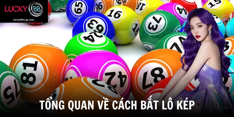 Tổng quan về cách bắt lô kép