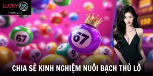 Kinh Nghiệm Nuôi Bạch Thủ Lô - Bí Kíp Bắt Số Cực Chuẩn